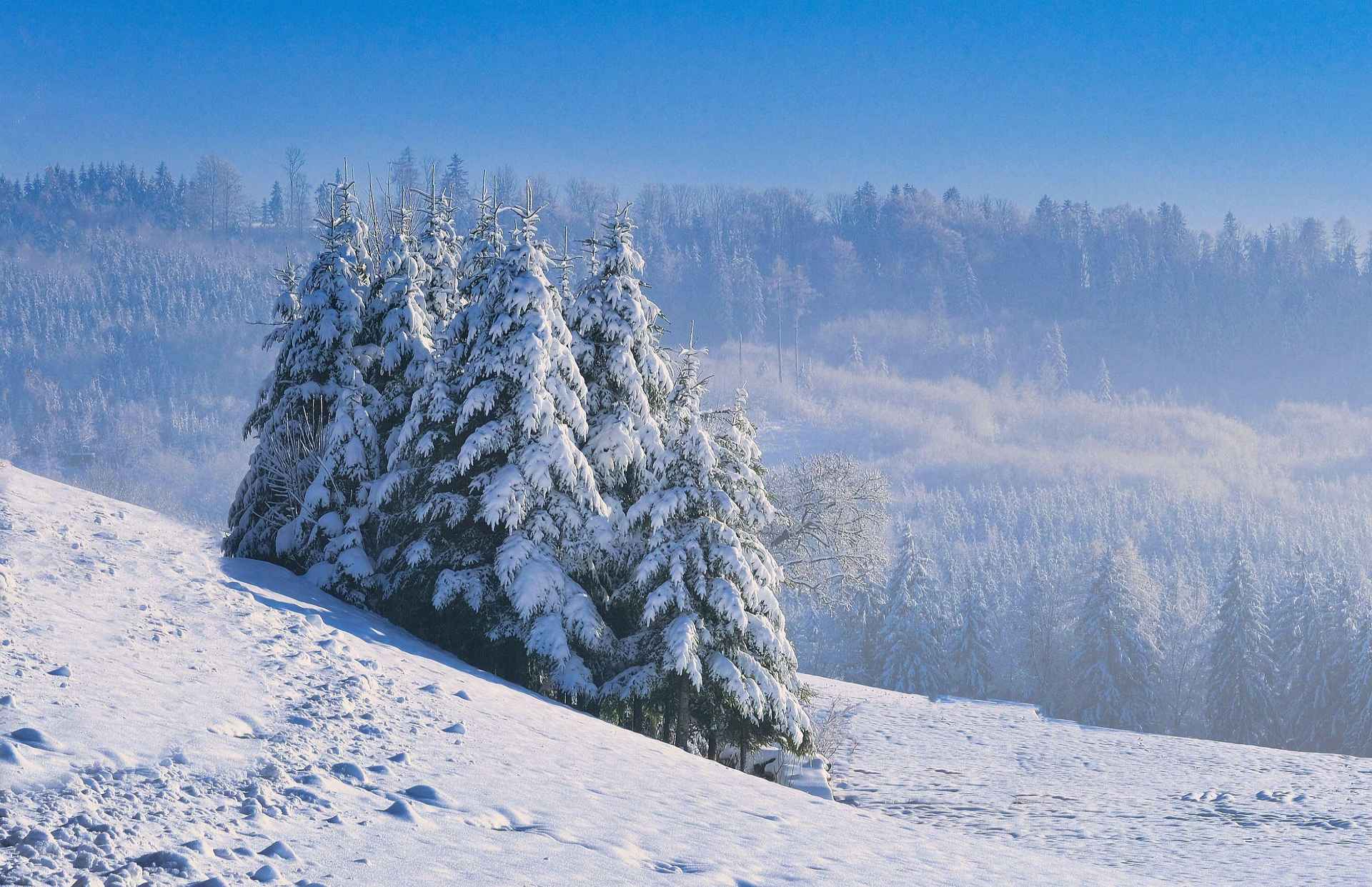 winter-02