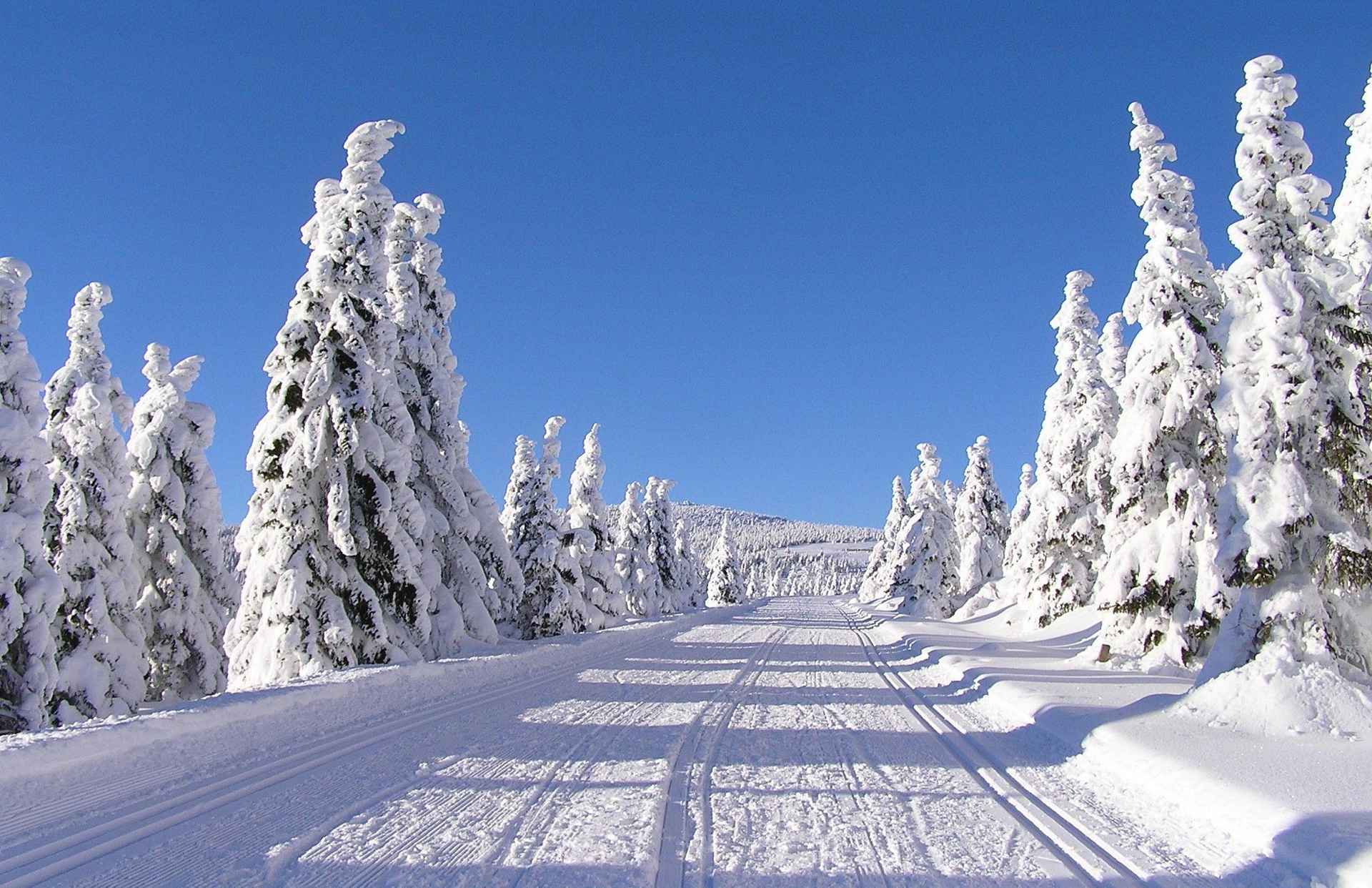 winter-01